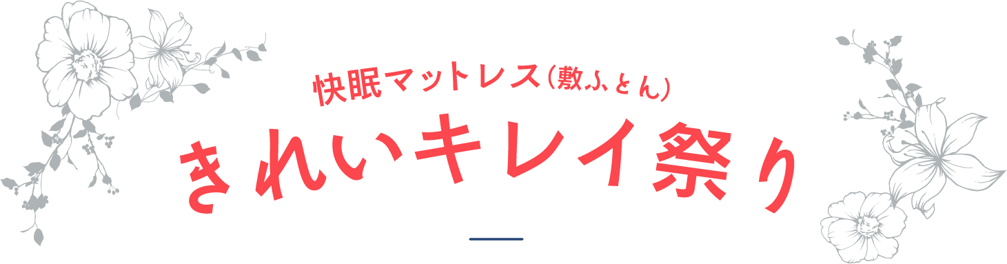 きれいキレイ祭り