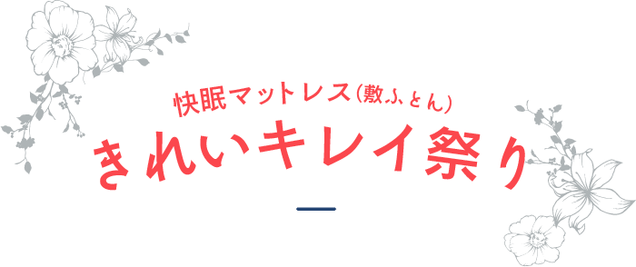 きれいキレイ祭り